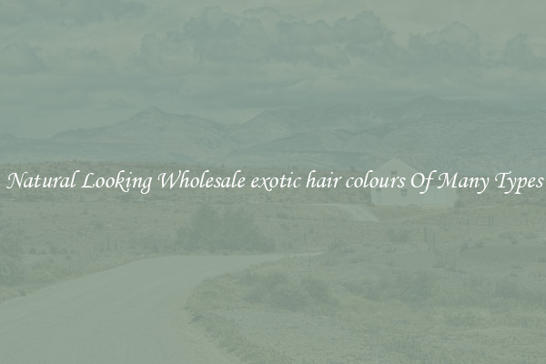 Natural Looking Wholesale exotic hair colours Of Many Types