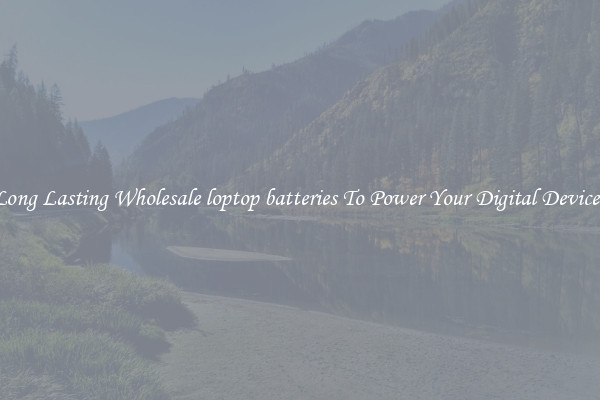 Long Lasting Wholesale loptop batteries To Power Your Digital Devices