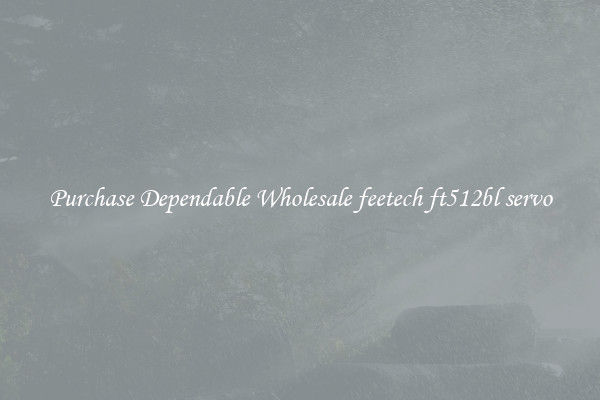 Purchase Dependable Wholesale feetech ft512bl servo