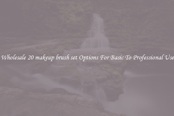 Wholesale 20 makeup brush set Options For Basic To Professional Use