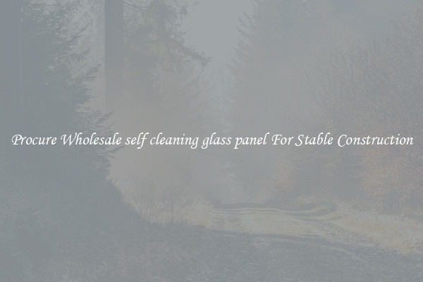 Procure Wholesale self cleaning glass panel For Stable Construction