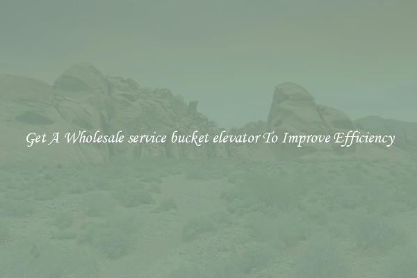 Get A Wholesale service bucket elevator To Improve Efficiency