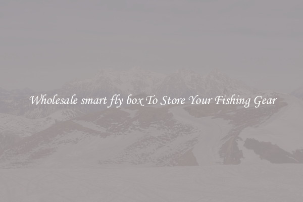 Wholesale smart fly box To Store Your Fishing Gear