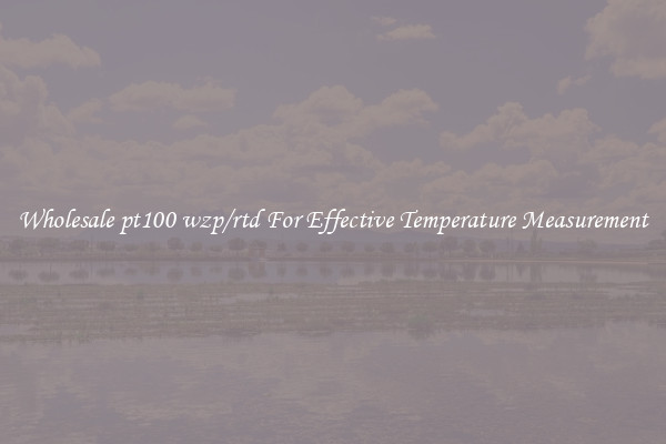 Wholesale pt100 wzp/rtd For Effective Temperature Measurement