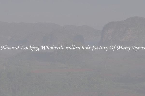 Natural Looking Wholesale indian hair factory Of Many Types