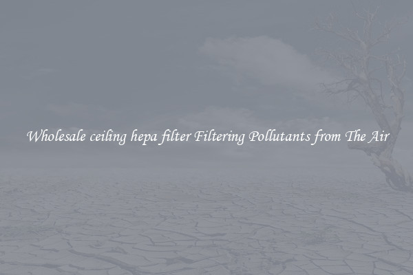 Wholesale ceiling hepa filter Filtering Pollutants from The Air
