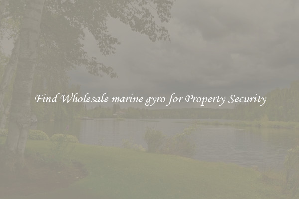Find Wholesale marine gyro for Property Security