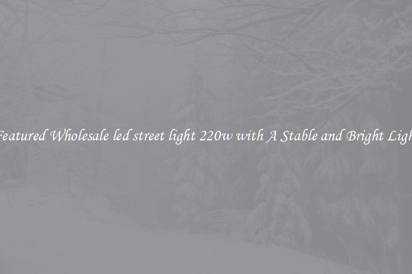 Featured Wholesale led street light 220w with A Stable and Bright Light