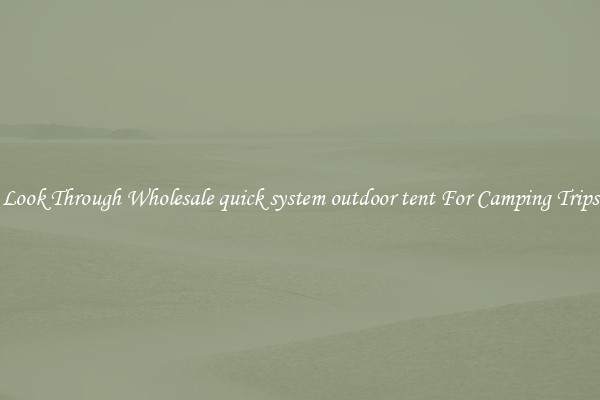 Look Through Wholesale quick system outdoor tent For Camping Trips