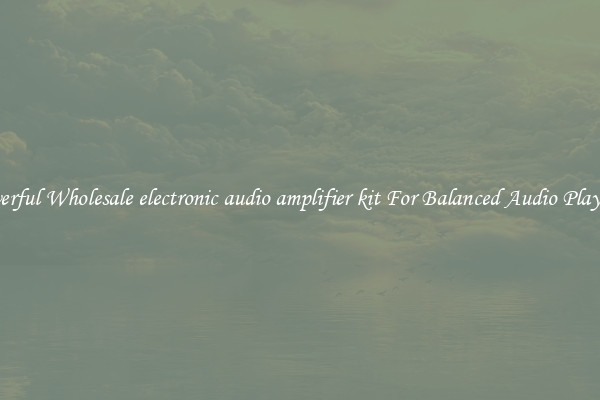 Powerful Wholesale electronic audio amplifier kit For Balanced Audio Playback