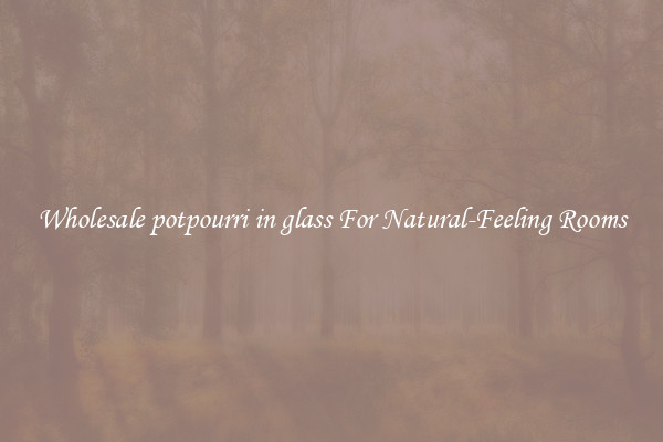 Wholesale potpourri in glass For Natural-Feeling Rooms