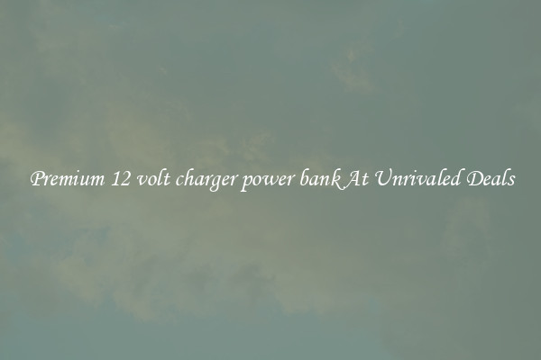 Premium 12 volt charger power bank At Unrivaled Deals