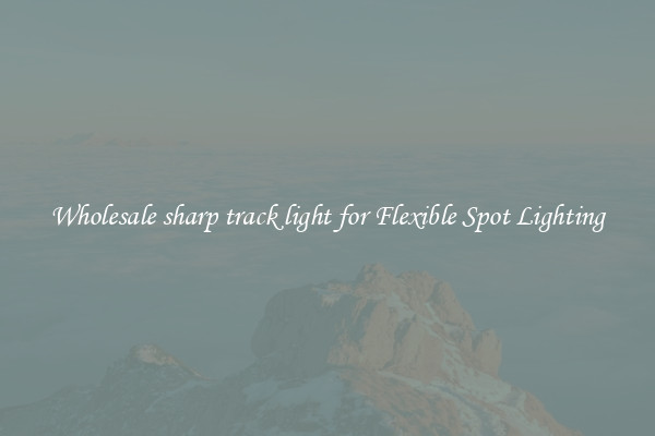 Wholesale sharp track light for Flexible Spot Lighting
