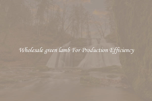 Wholesale green lamb For Production Efficiency