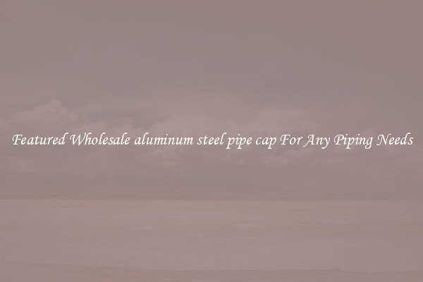 Featured Wholesale aluminum steel pipe cap For Any Piping Needs