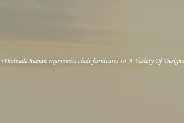 Wholesale human ergonomics chair furnitures In A Variety Of Designs