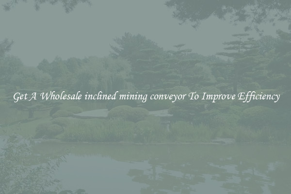Get A Wholesale inclined mining conveyor To Improve Efficiency