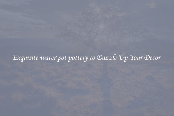 Exquisite water pot pottery to Dazzle Up Your Décor 