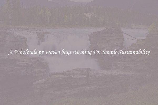  A Wholesale pp woven bags washing For Simple Sustainability 