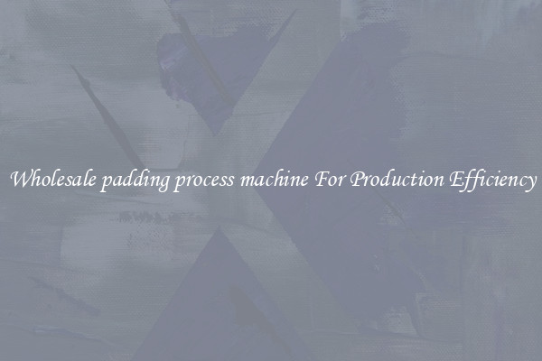 Wholesale padding process machine For Production Efficiency