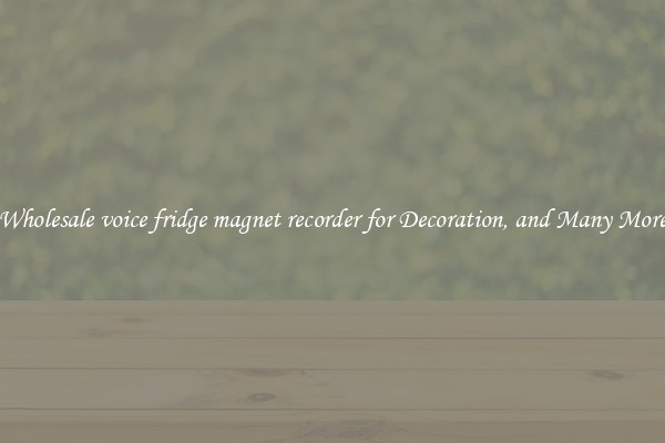 Wholesale voice fridge magnet recorder for Decoration, and Many More