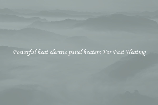 Powerful heat electric panel heaters For Fast Heating