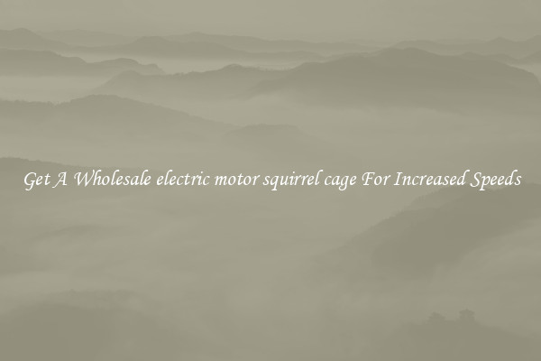 Get A Wholesale electric motor squirrel cage For Increased Speeds