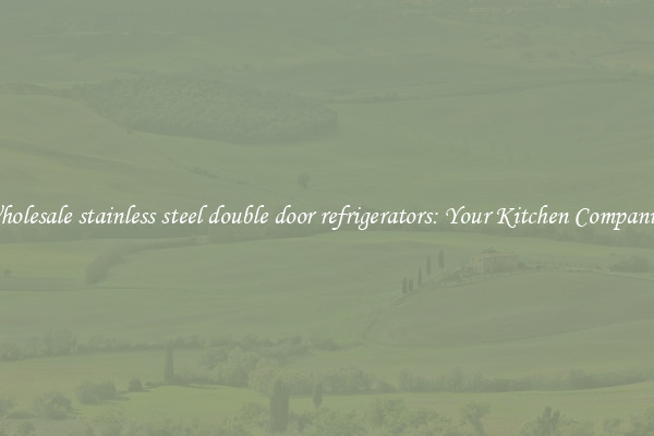 Wholesale stainless steel double door refrigerators: Your Kitchen Companion