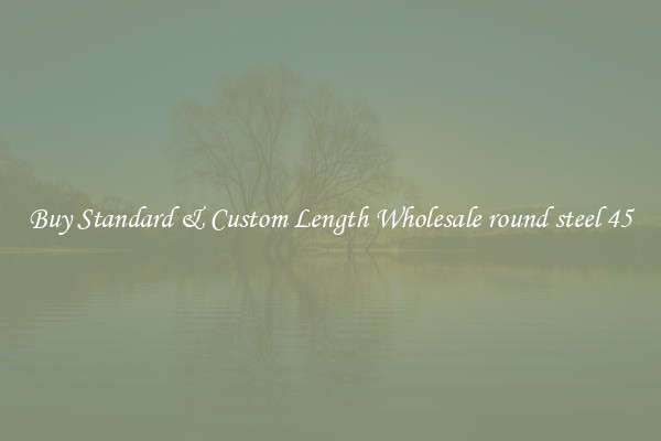 Buy Standard & Custom Length Wholesale round steel 45